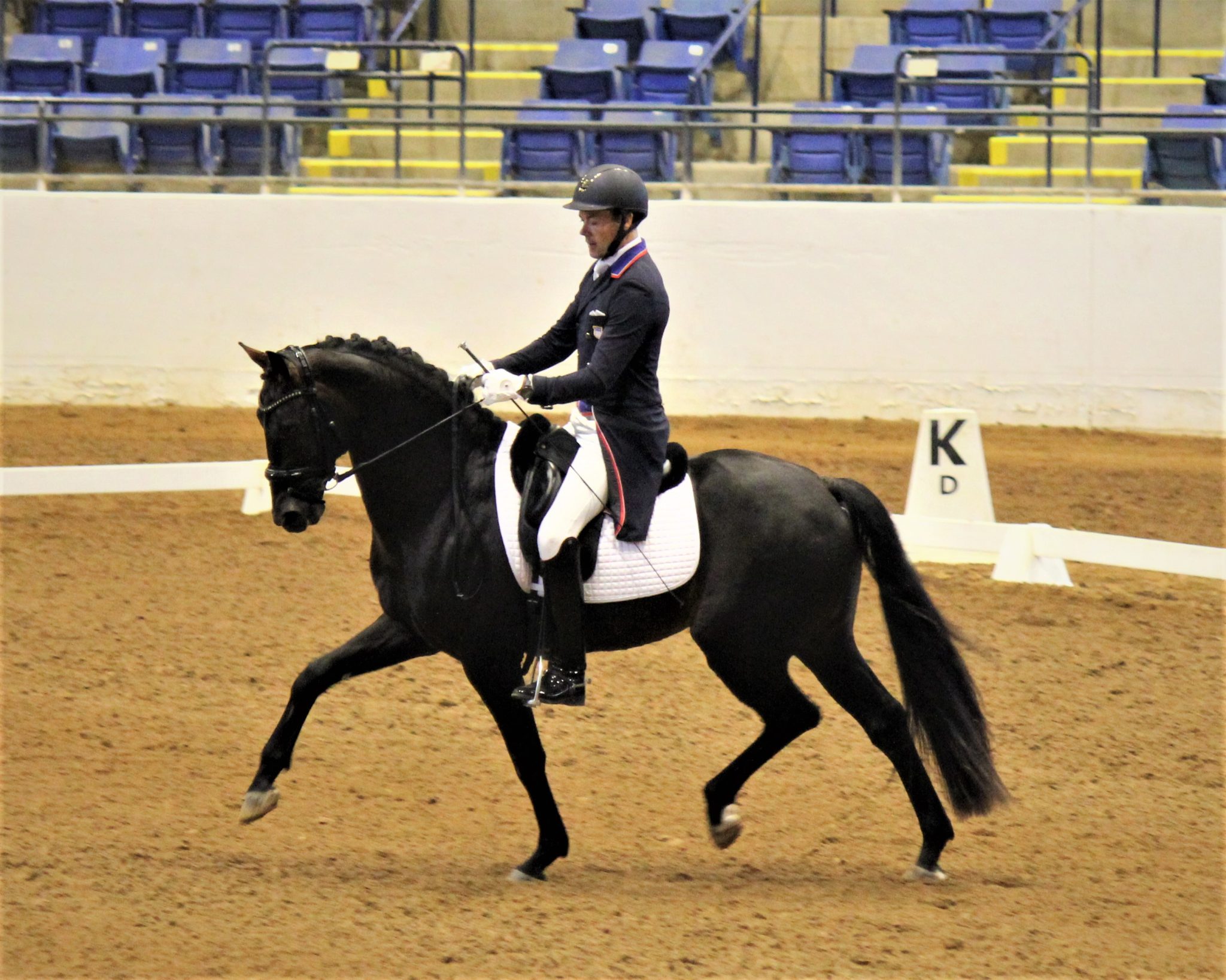 Dressage At Lexington Virginia Horse Center Foundation