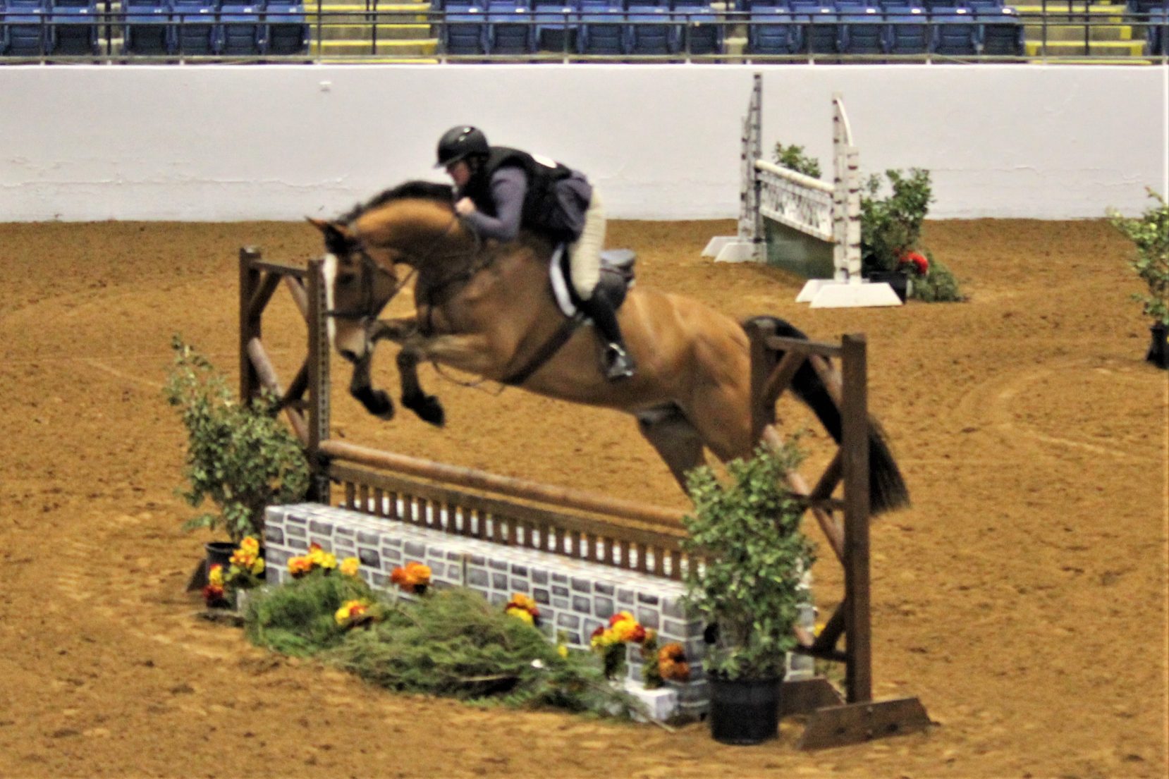 Lexington Country Horse Show I Virginia Horse Center Foundation