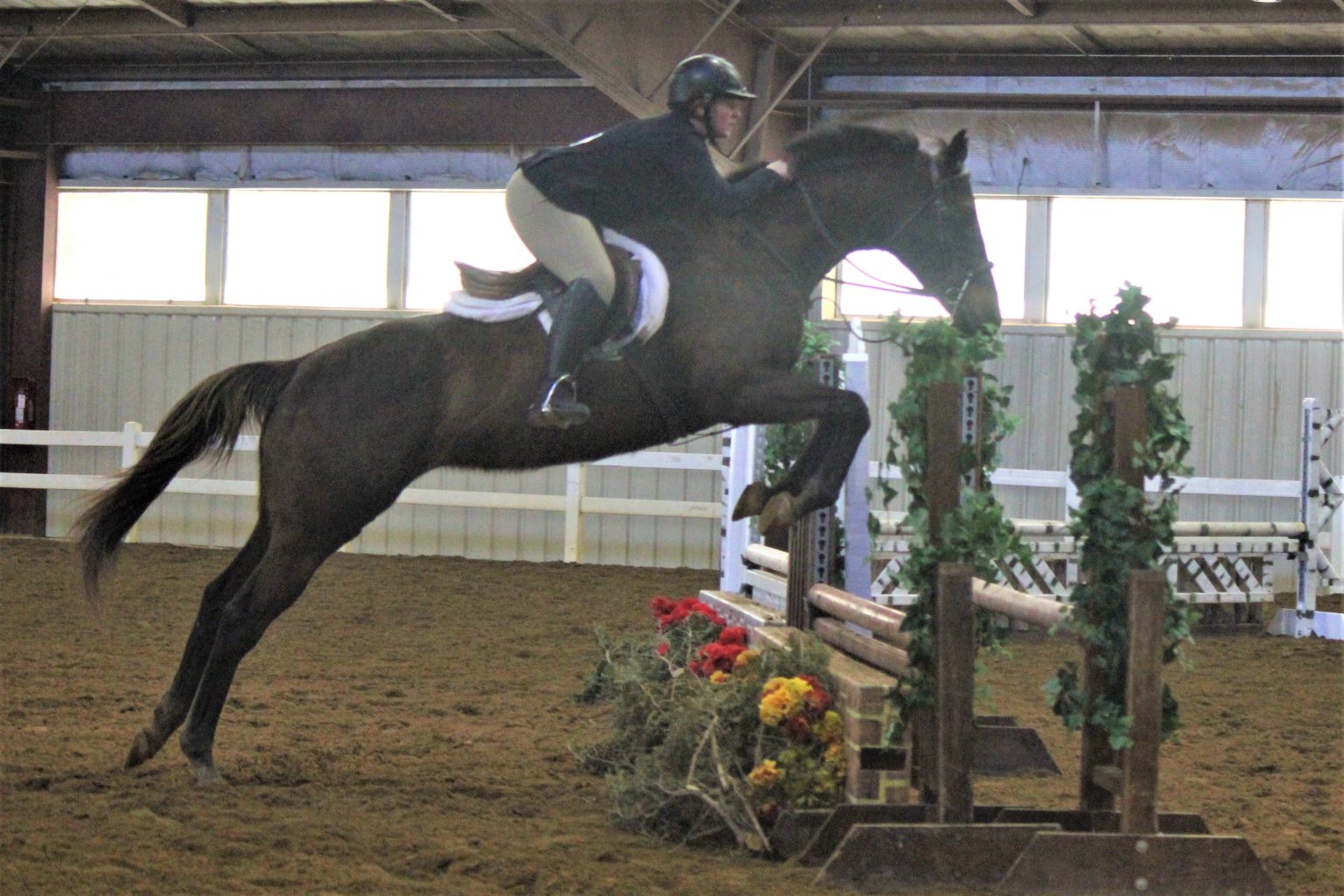 Polar Bear Horse Show - Virginia Horse Center Foundation