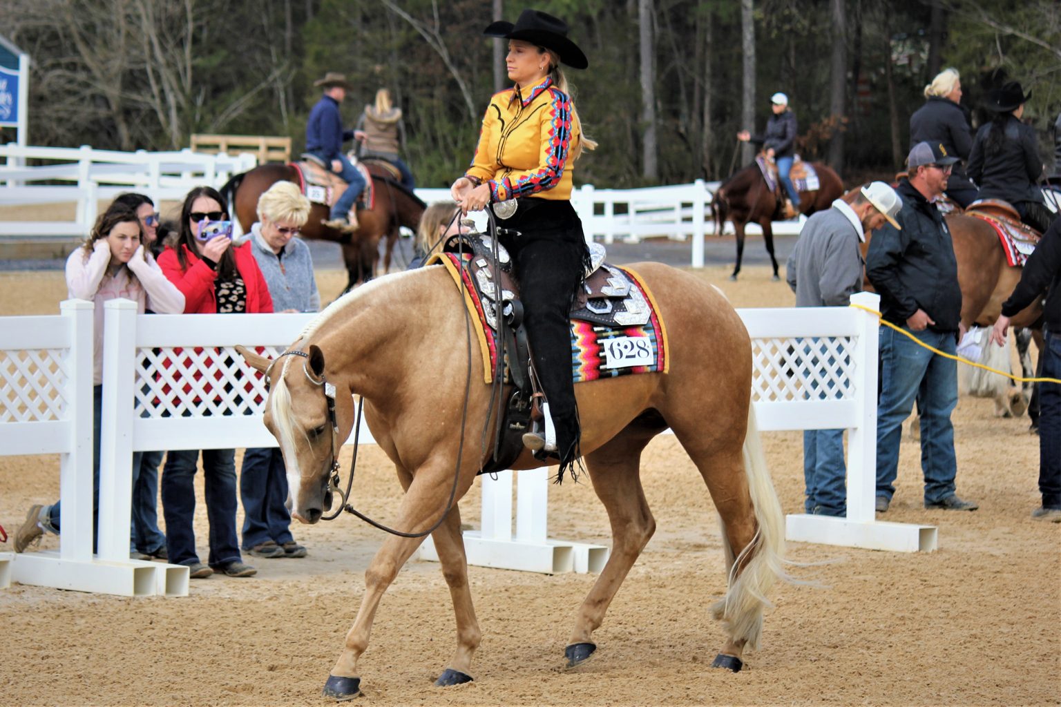 VQHA Spring Breakout Horse Show 2024 Virginia Horse Center Foundation