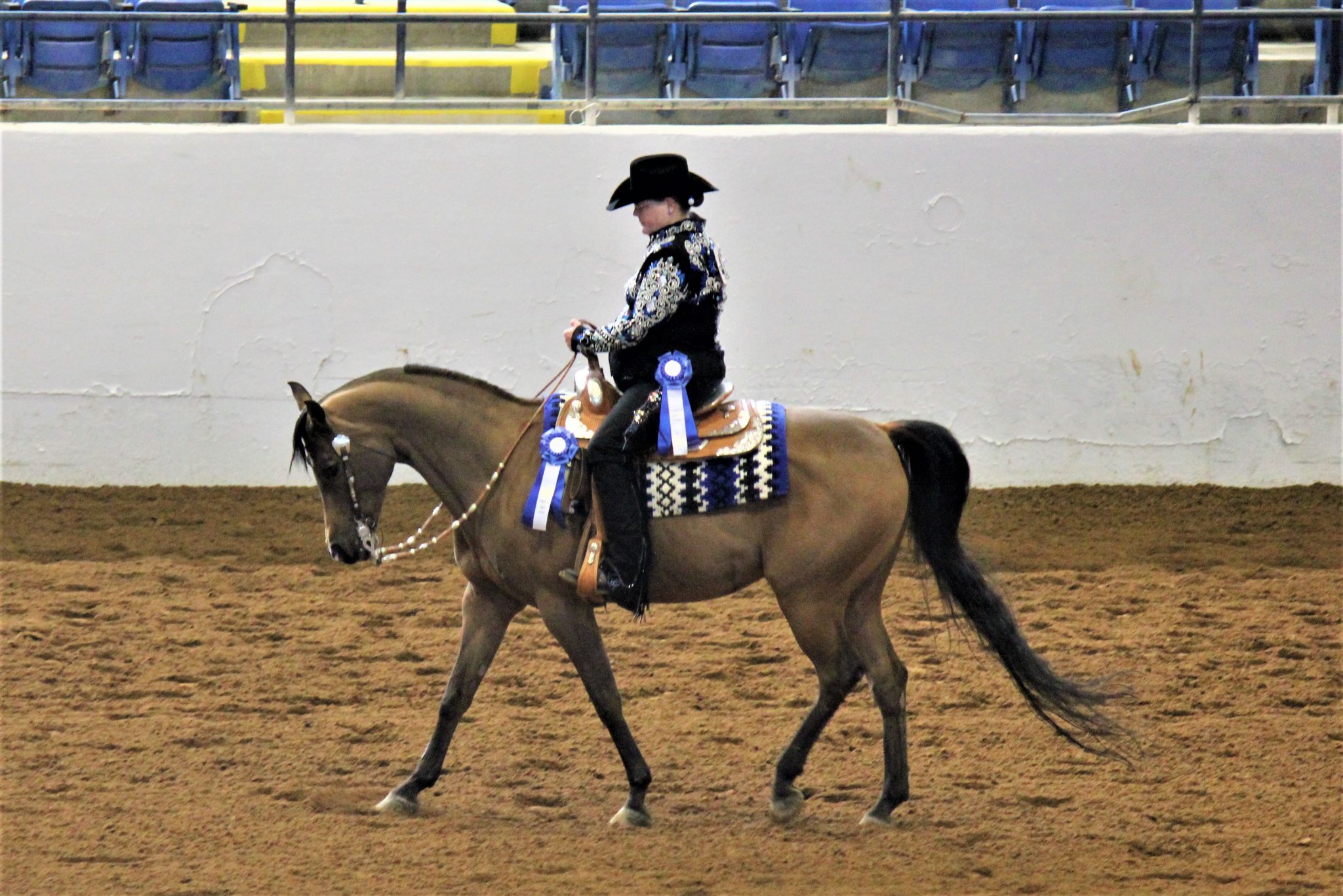 Blue Ridge Arabian Classic Virginia Horse Center Foundation