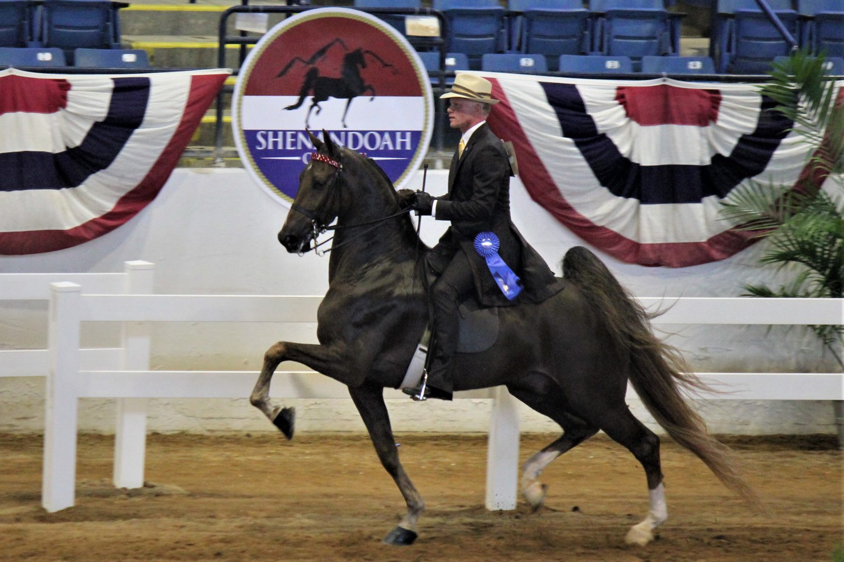 Shenandoah Classic Horse Show Virginia Horse Center Foundation