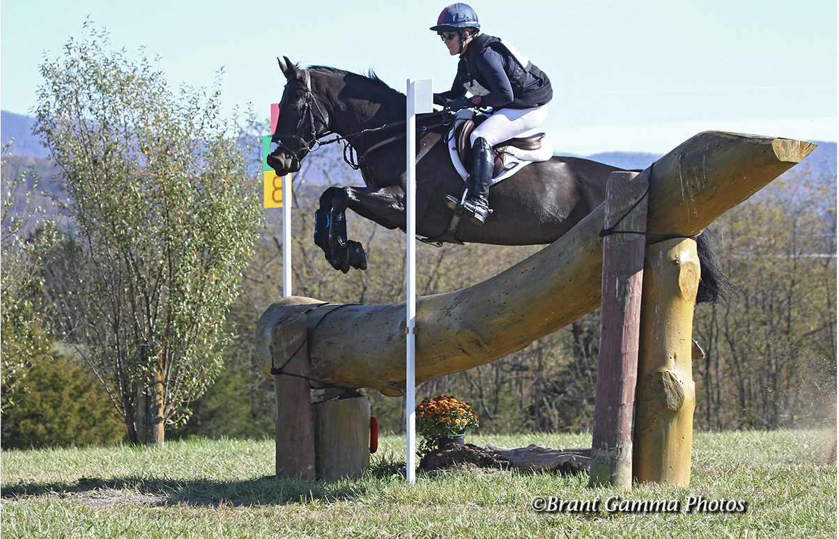 Allison Springer and Crystal Crescent Moon, winners of the 2019 USEF Two-Star Eventing National Championship at Virginia Horse Trials. Crystal Crescent Moon, owned and bred by Nancy Winter, a graduate of the USEA Young Event Horse program. Photo by Brant Gamma.