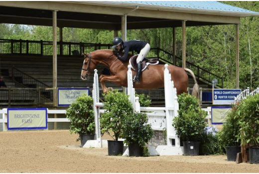 Malibu Ken, owned by Kym K. Smith and ridden by Tiffany Cambria won the 3'9 High Performance Hunter Championship as well as Grand Hunter Championship.