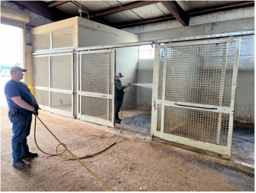 Stalls are disinfected at the Virginia Horse Center.