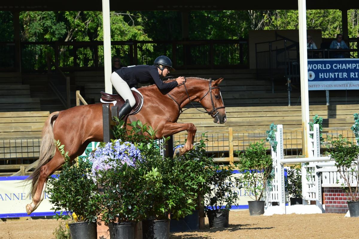 The Green Hunter Champion was awarded to

Malibu Ken, owned by Kym K Smith and ridden by Tiffany Cambria. Reserve Champion was awarded to Chime, owned by Dorli Burke and ridden by Marylisa Leffler

Photo © Teresa Ramsay