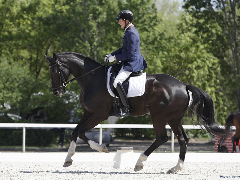 A dressage rider riding in canter on his young horse. Canon Eos 1D MarkIII.