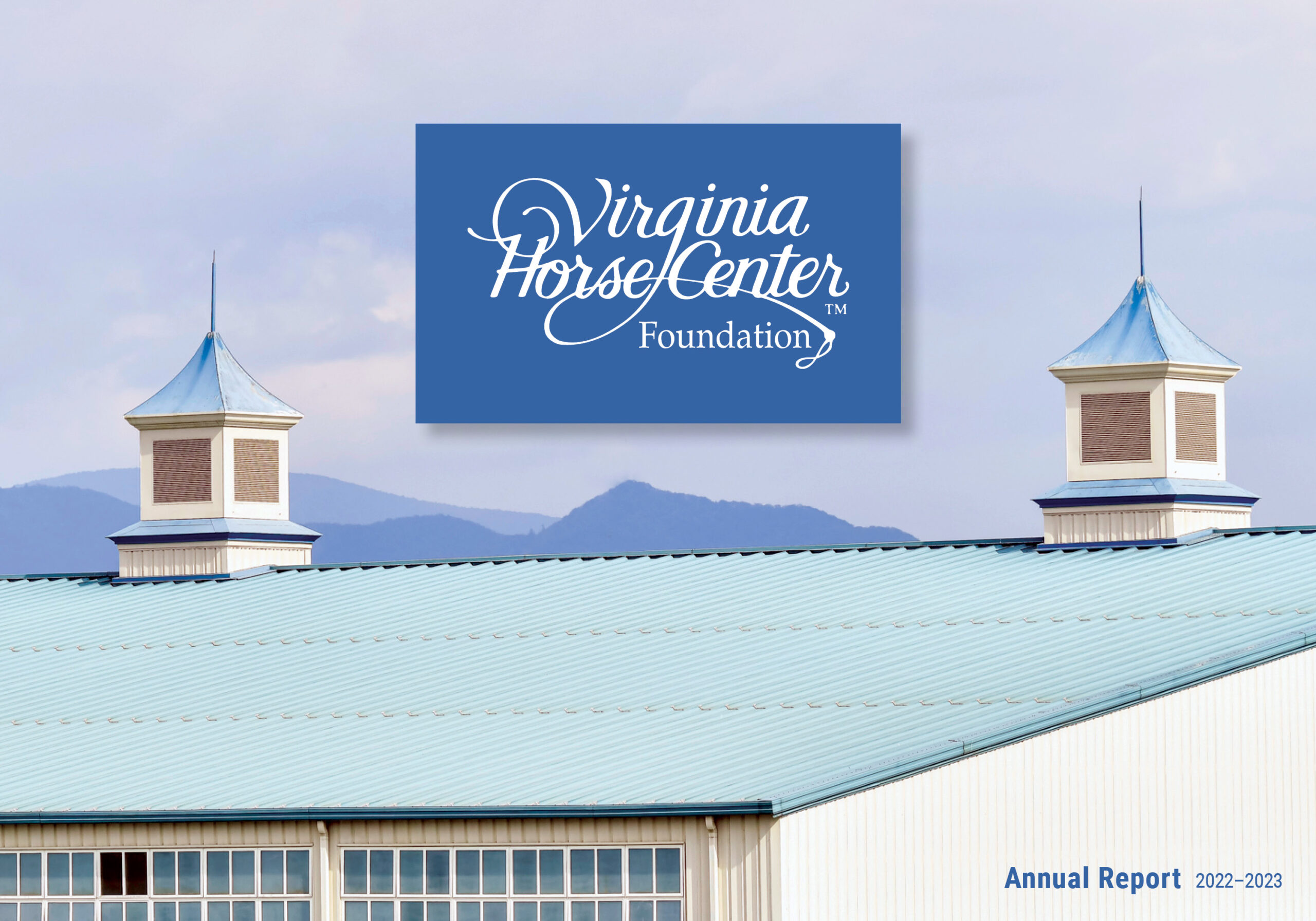VHCF Annual Report 2023