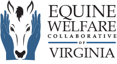 Equine Welfare Collab Logo