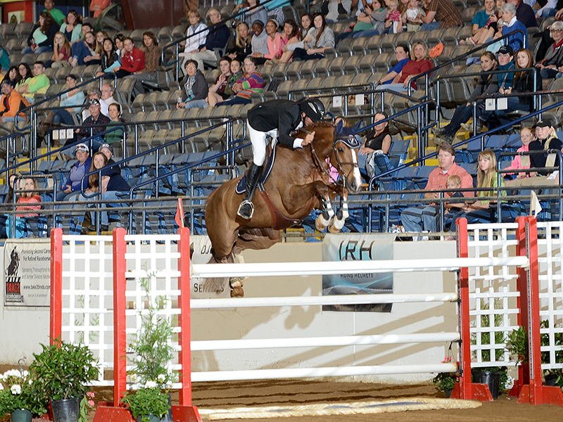 Hunter-Jumper